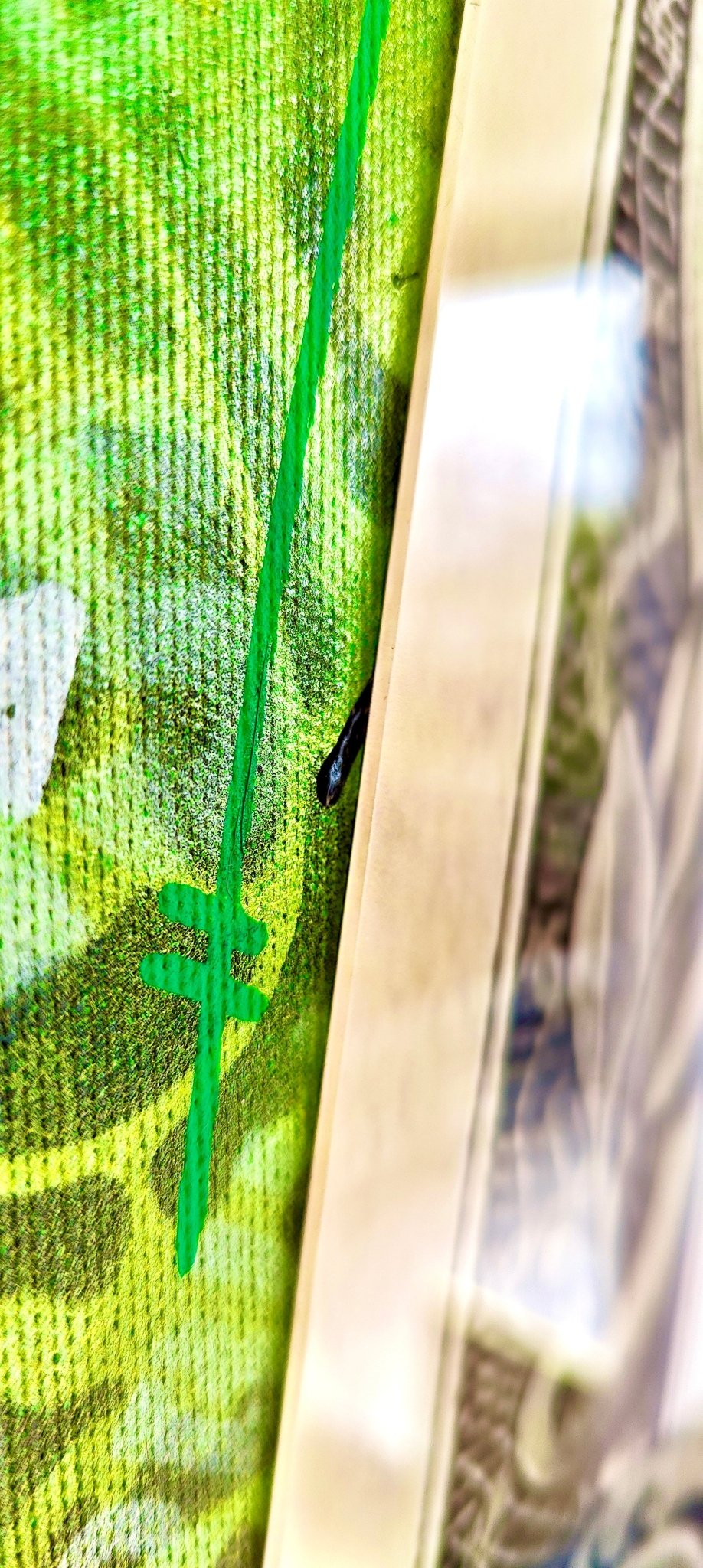 Green Dreams - the Art of Hustle 100x70cm - DAPE - ART - SHOP